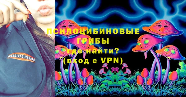 крисы Бронницы