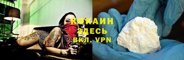 крисы Бородино