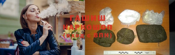 крисы Бородино
