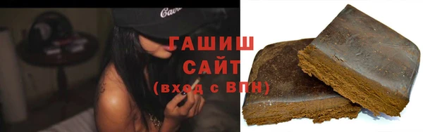 крисы Бородино