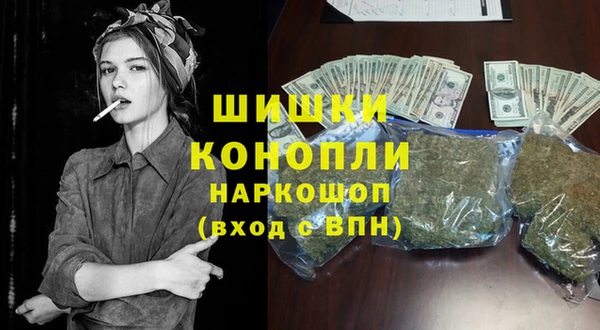крисы Бородино